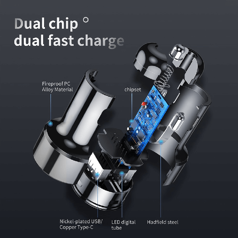 Dual chip