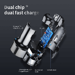 Dual chip
