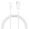 calys-wht_2-1.jpg